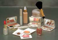 Leslie DeeAnn Colour Cosmetics